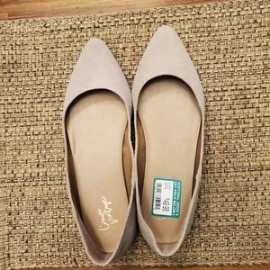 Women's pointy toe flat, never worn